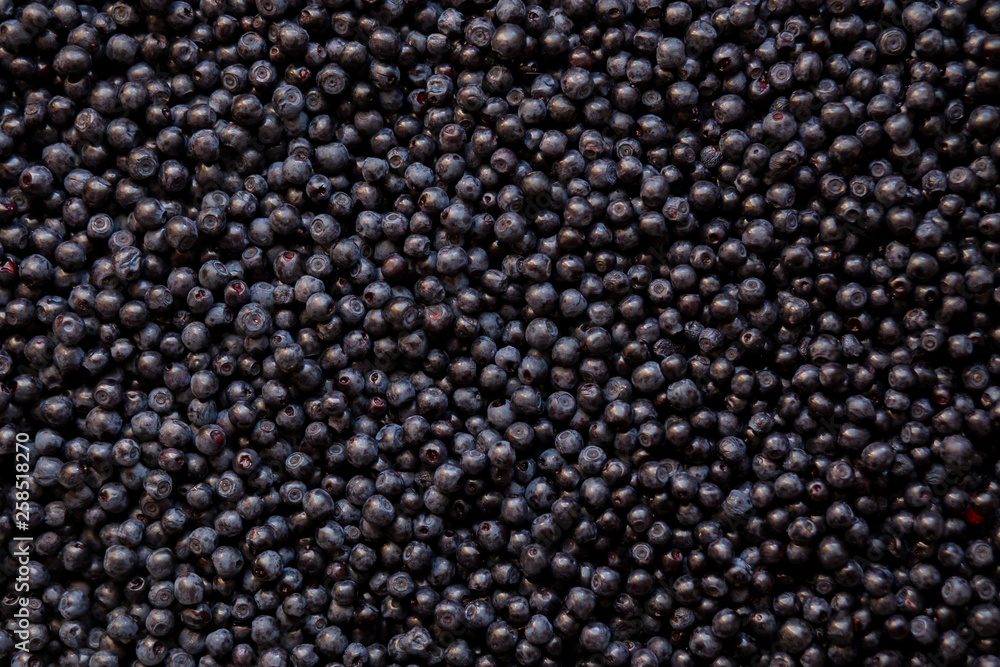 Fresh blueberry background. Texture blueberry berries top view Fresh blueberry background. Texture blueberry berries top view