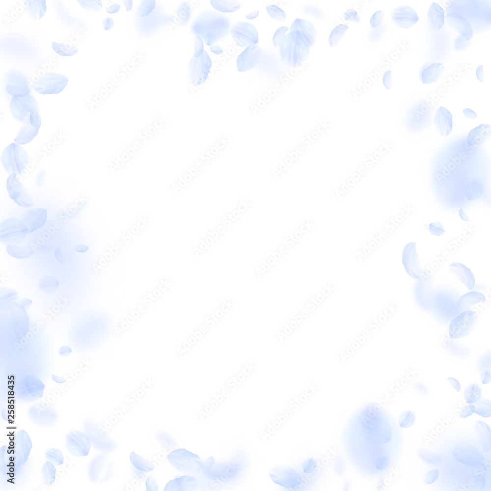 Light blue flower petals falling down. Grand roman Light blue flower petals falling down. Grand roman