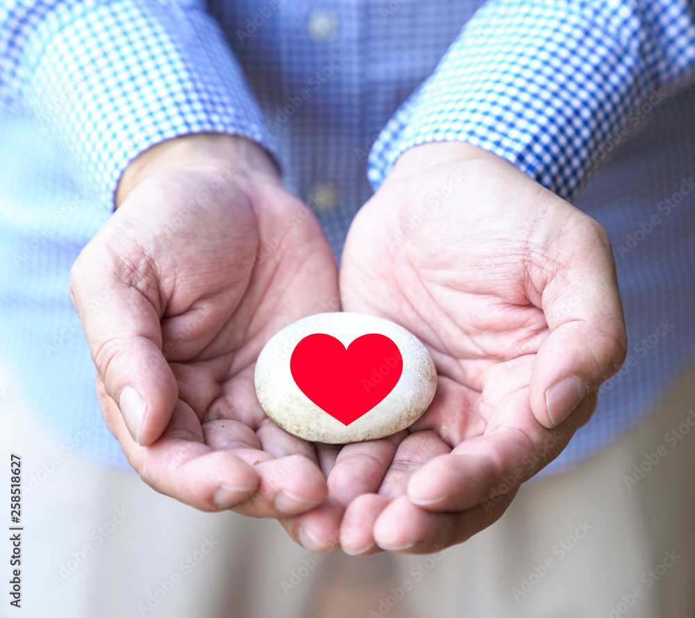 Obraz premium Love or protect the heart concept
