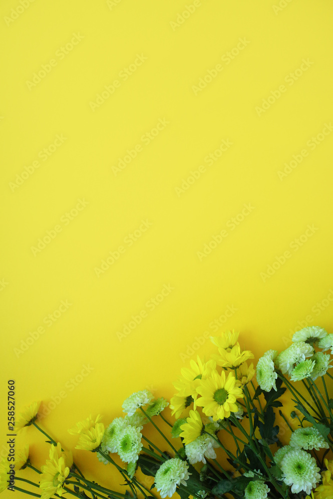 Yellow and green flowers on yellow background.  Place for your text