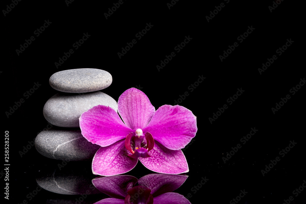 Fototapeta premium Image with orchid.