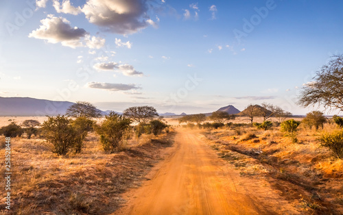 Safari road in Kenya © Maciej Czekajewski