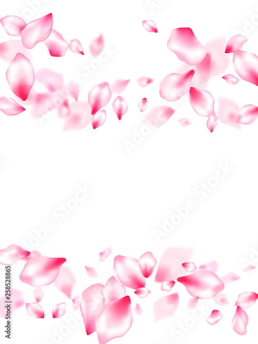 Japanese cherry blossom pink flying petals © SunwArt