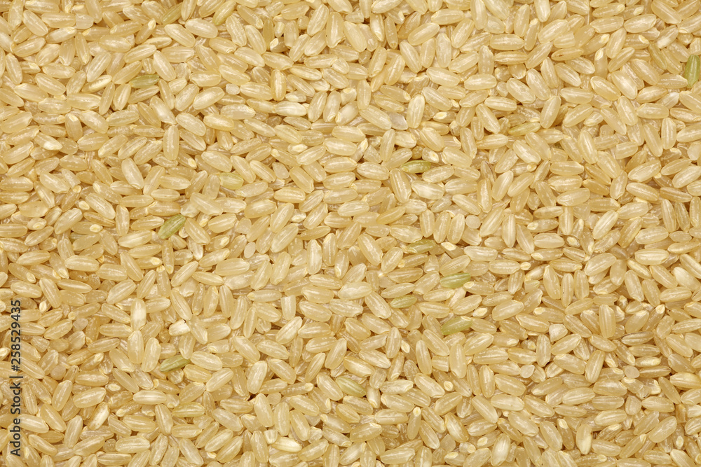 Background of short grain brown rice Background of short grain brown rice