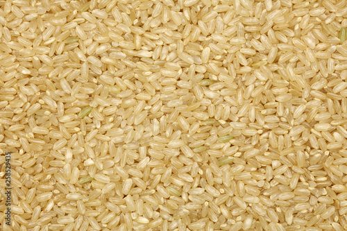 Background of short grain brown rice