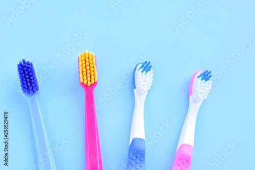 Plastic personal toothbrush for dental health care on blue background. Family toothbrushes concept on neutral backdrop. Children s and adult toothbrushes for daily dental hygiene