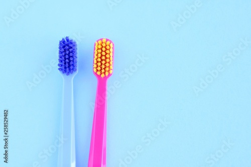 Plastic personal toothbrush for dental health care on blue background. Family toothbrushes concept on neutral backdrop. Children s and adult toothbrushes for daily dental hygiene