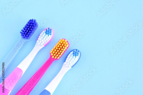 Plastic personal toothbrush for dental health care on blue background. Family toothbrushes concept on neutral backdrop. Children s and adult toothbrushes for daily dental hygiene