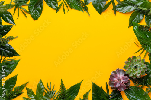  Green plant on the yellow background. Retro vintage style.