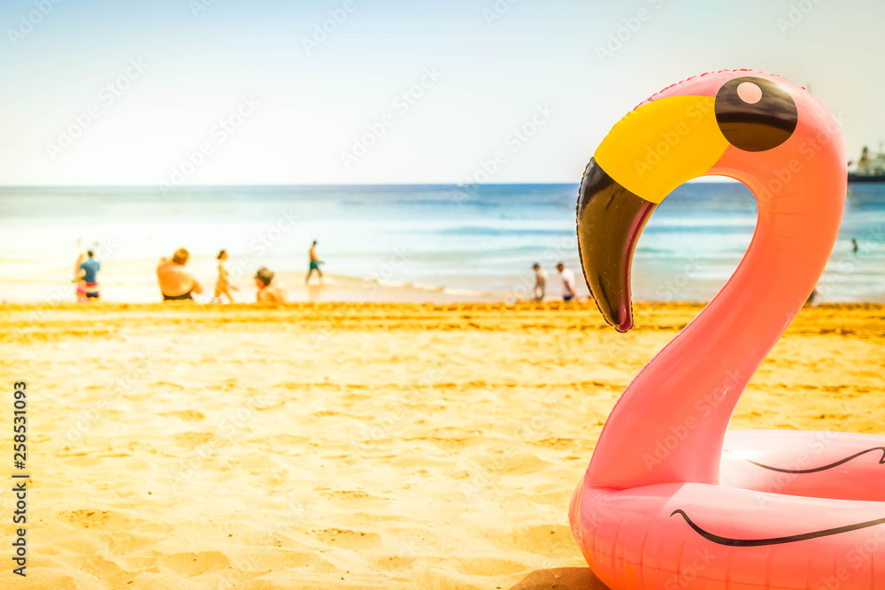 Pink flamingo on beach Pink flamingo on beach