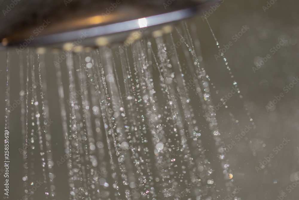 Close up of water running from shower head in the bathroom.
