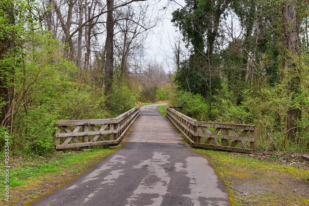 Fototapeta premium Views of Bridges and Pathways along the Shelby Bottoms Greenway and Natural Area Cumberland River frontage trails, bottomland hardwood forests, open fields, wetlands, and streams, Nashville, Tennessee