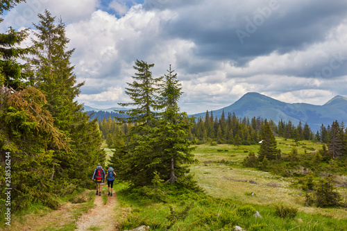 Rear view of two young people walking down the trail path on forest.