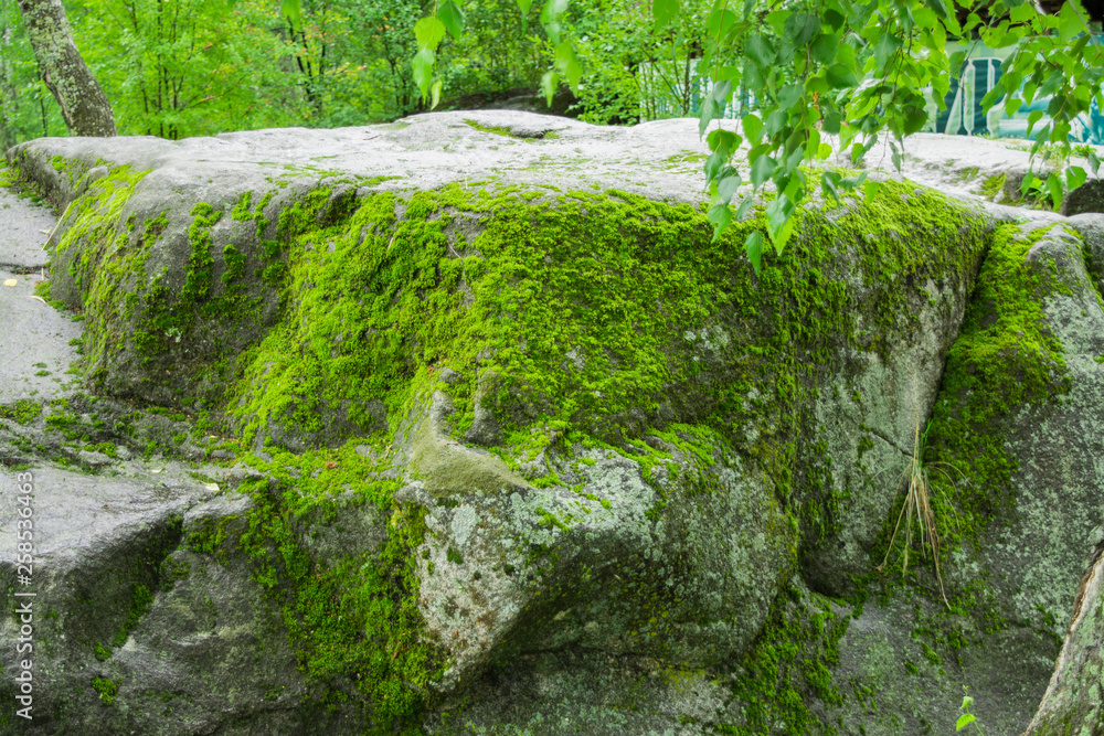 Journey through the mountain Altai. Green Altai Mountains. Green moss on huge boulders. Journey through the mountain Altai. Green Altai Mountains. Green moss on huge boulders.