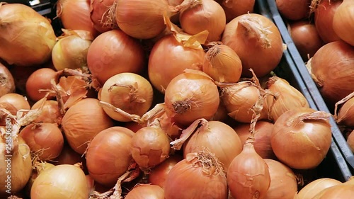 Autumn harvest onion close up