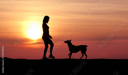 The girl and the dog at sunset  the Belgian Shepherd Malinois breed  an incredible sunset  friendship and relationships  a sporty girl