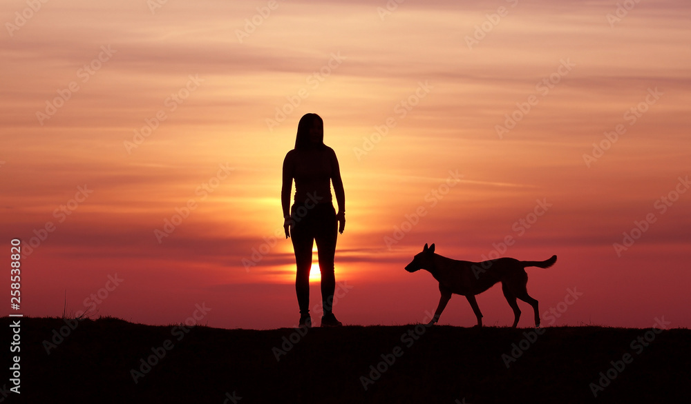 The girl and the dog at sunset, the Belgian Shepherd Malinois breed, an incredible sunset, friendship and relationships, a sporty girl
