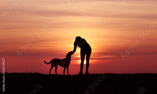 The girl and the dog at sunset, the Belgian Shepherd Malinois breed, an incredible sunset, friendship and relationships, a sporty girl