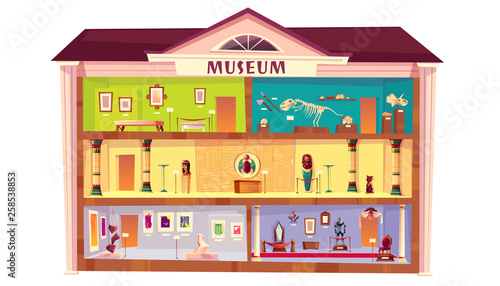 Natural history, ethnographic, paleontology, art museum cartoon vector. Cross section building with egyptian, medieval history, dinosaurs skeletons, modern, classic art exposition illustration