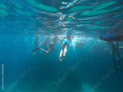Legs of people swimming in the water. blue background. Underwater photography. Red Sea, Egypt.