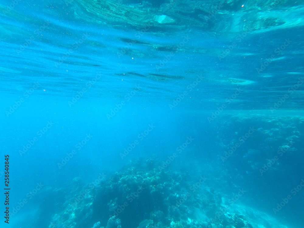 Beautiful texture of the sea and ocean water. blue background. Underwater photography. Red Sea, Egypt. Beautiful texture of the sea and ocean water. blue background. Underwater photography. Red Sea, Egypt.