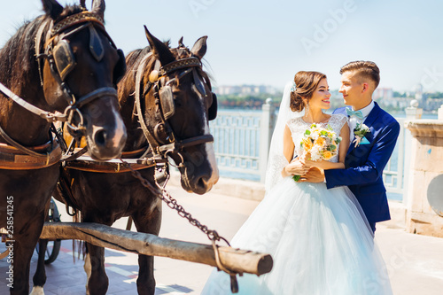 Cuadro en lienzo wedding couple stand near brown horses with carriage