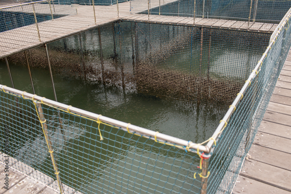 Fish cage floating in river use for raising fish, built with blue