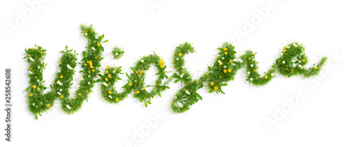 Fotografie, Obraz napis wiosna utworzony z trawy i kwiatów, 3D render