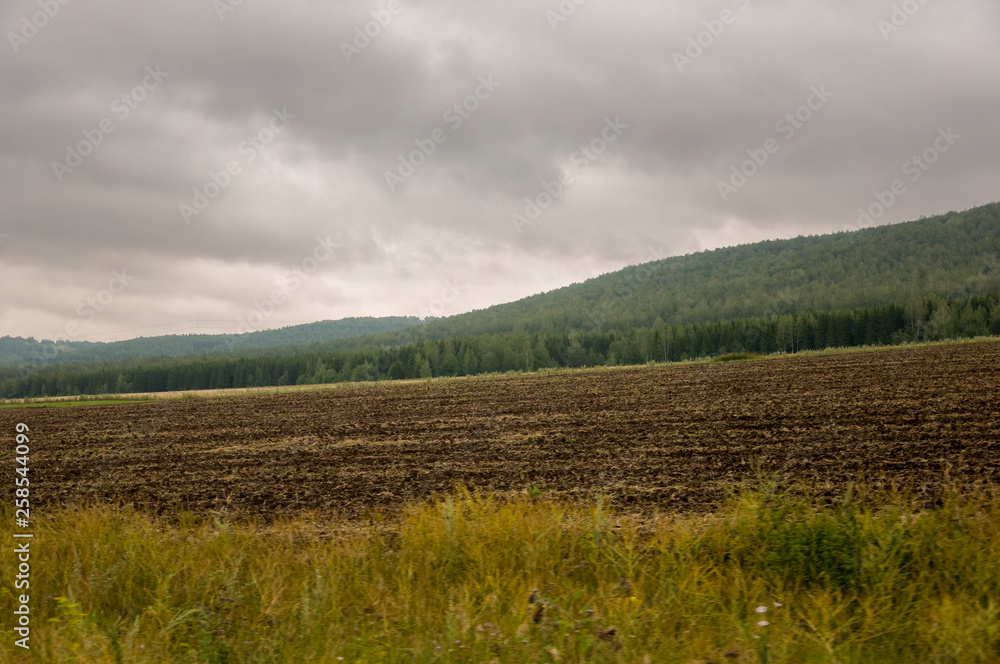 Black field with trees far away. Cultivated area. Agriculture. Dark grey sky and green grass