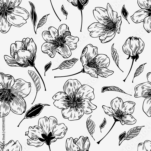 Sakura flowers hand drawn seamless pattern in vintage style Black and White botanical graphic for paper, textile, wrapping decoration, scrap-booking, t-shirt, cards.