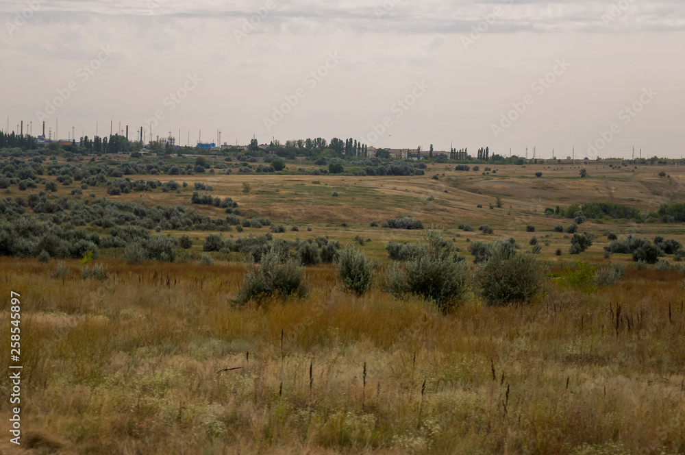 Gold meadow with lonely green trees far away and blue calm tender sky above. Yellow dry grass. Electric poles in the field. Small town far away.Travelling. Ural landscapes Gold meadow with lonely green trees far away and blue calm tender sky above. Yellow dry grass. Electric poles in the field. Small town far away.Travelling. Ural landscapes