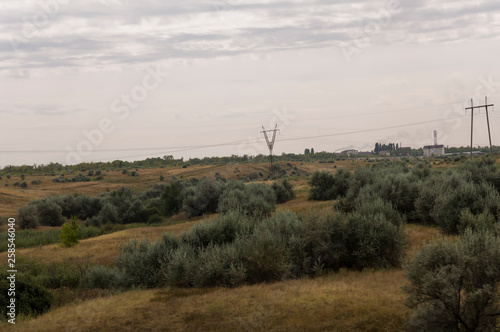 Gold meadow with lonely green trees far away and blue calm tender sky above. Yellow dry grass. Electric poles in the field. Small town far away.Travelling. Ural landscapes