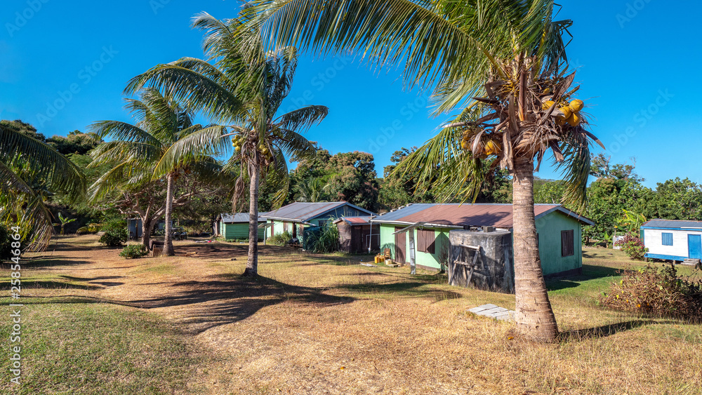 Fiji village behind palm trees