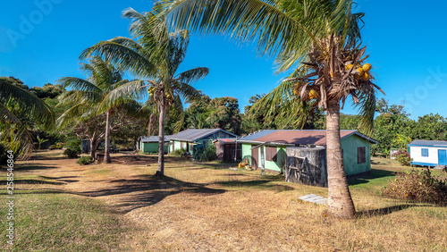 Fiji village behind palm trees