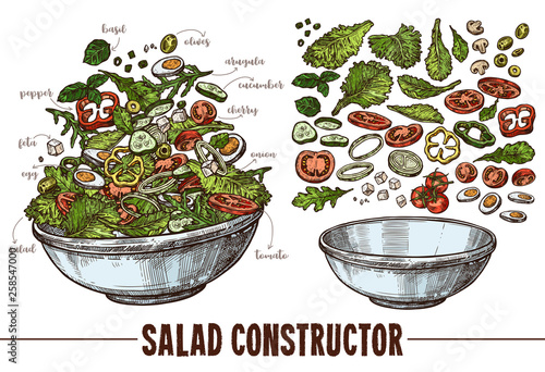 Vector set of sketch elements, components and ingredients for vegetables salat. Hand drawn collection of cut products and plate