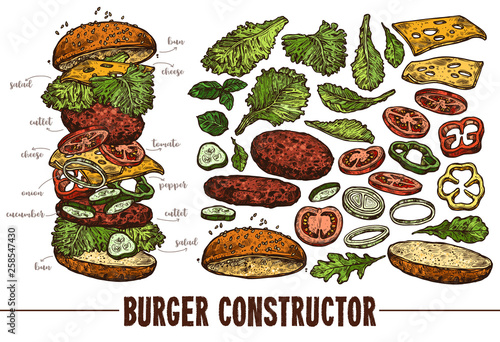 Hand drawn vector burger with ingredients. Sketch illustration of hamburger products components and elements. Constructor for fast food restaurant menu