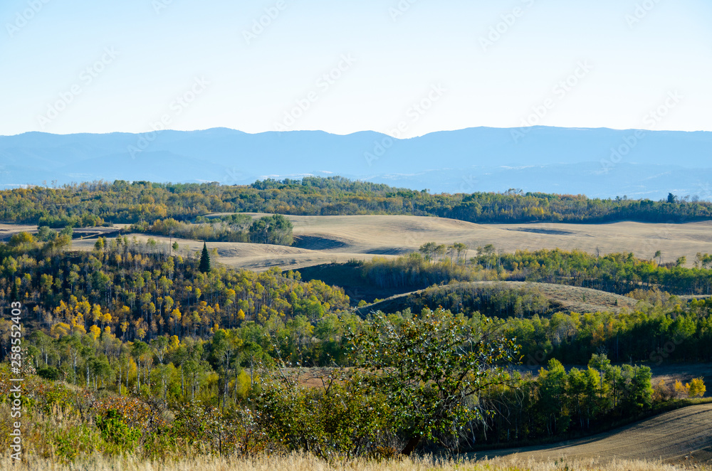 Fields in Mountain Range