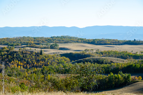 Fields in Mountain Range