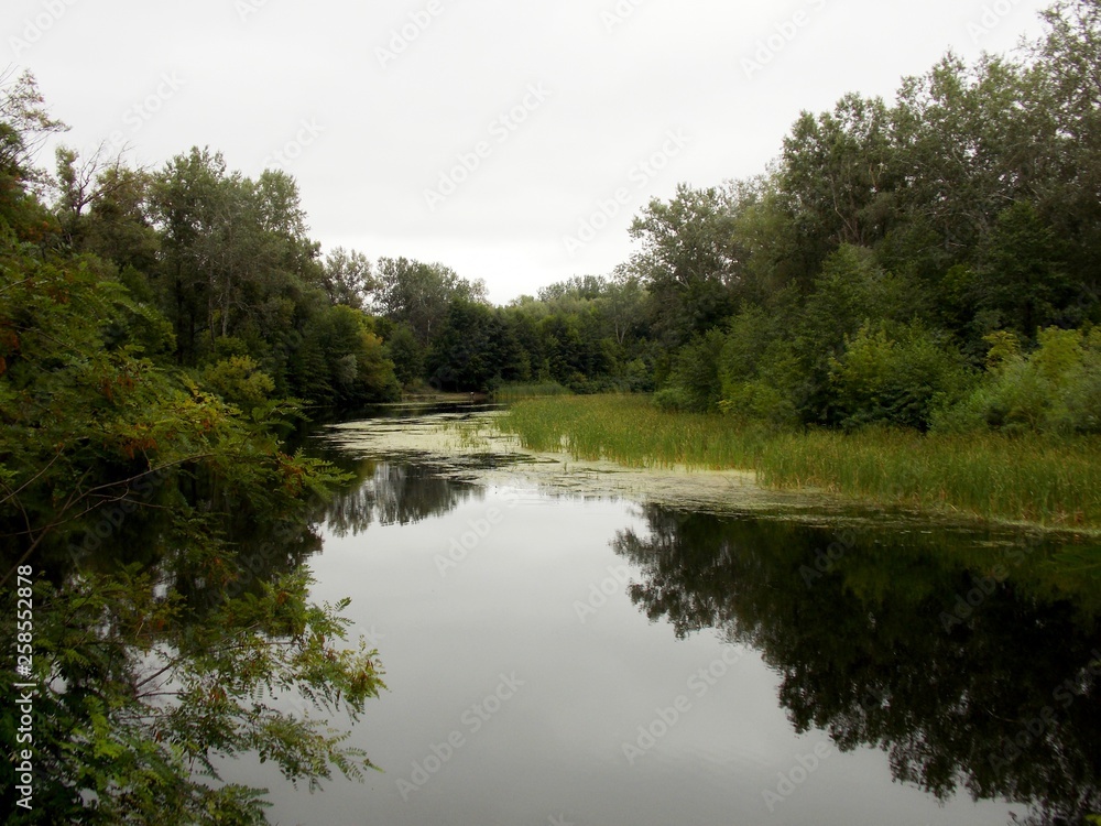 lake in forest lake in forest