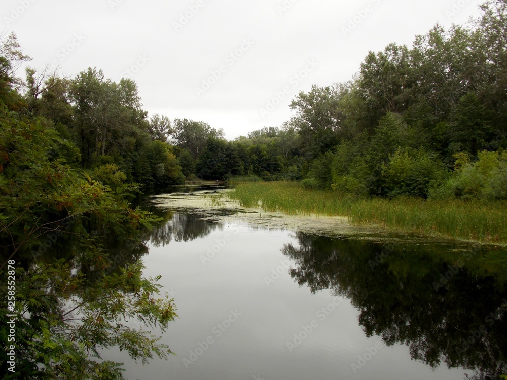 lake in forest