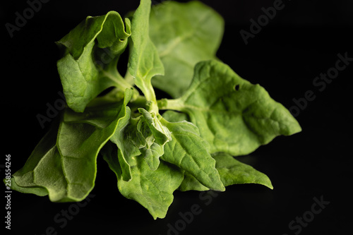 green fresh bunch of spinach in a beautiful cup on a wooden background