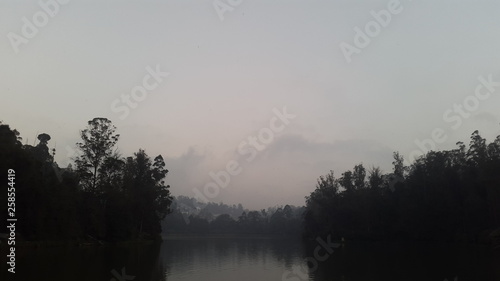sunset in forest