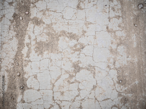 Dirt patch close up. Dry dirt texture