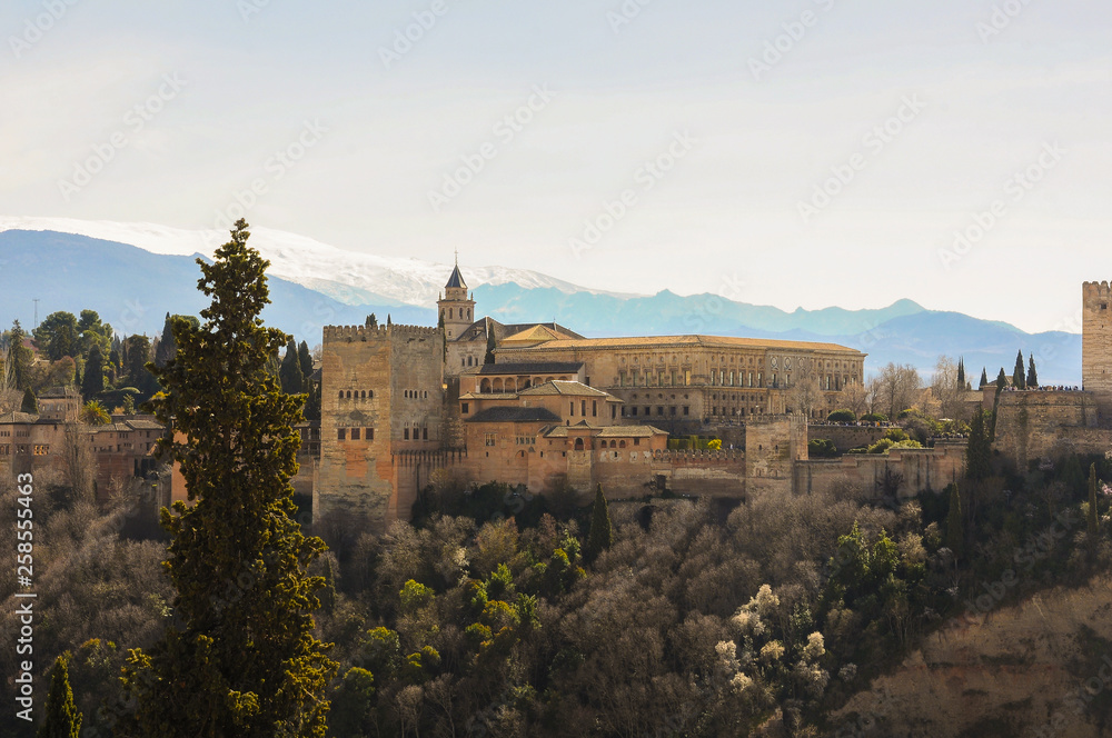 Nasrid Palaces (Palacios Nazaríes) and Palace of Charles V of the Alhambra from Mirador de San Nicolás. Granada, Spain
