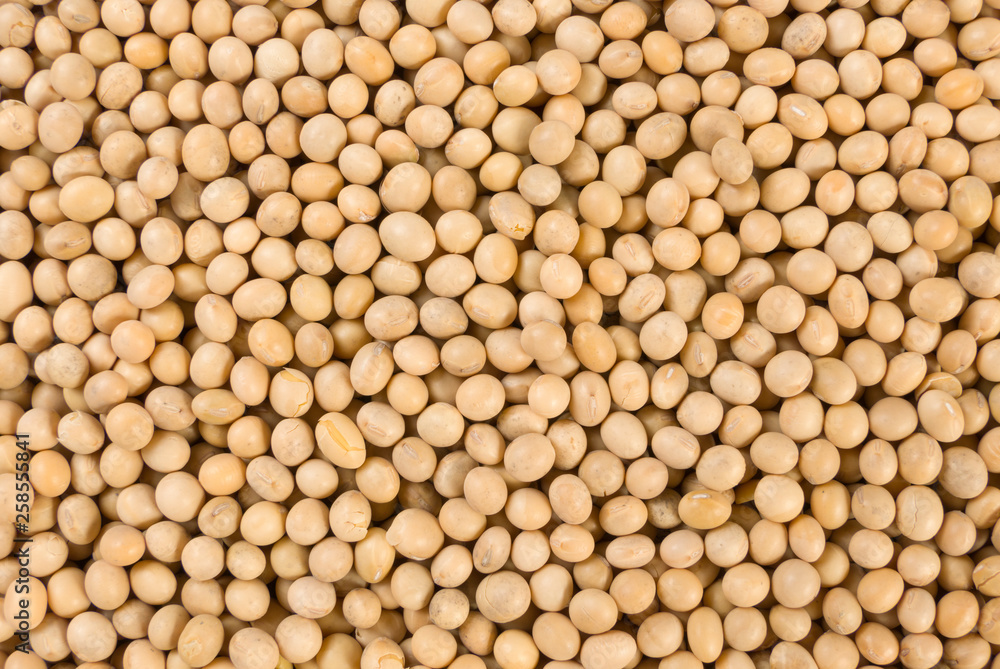 soy bean texture background. nutrition. food ingredient. soy bean texture background. nutrition. food ingredient.