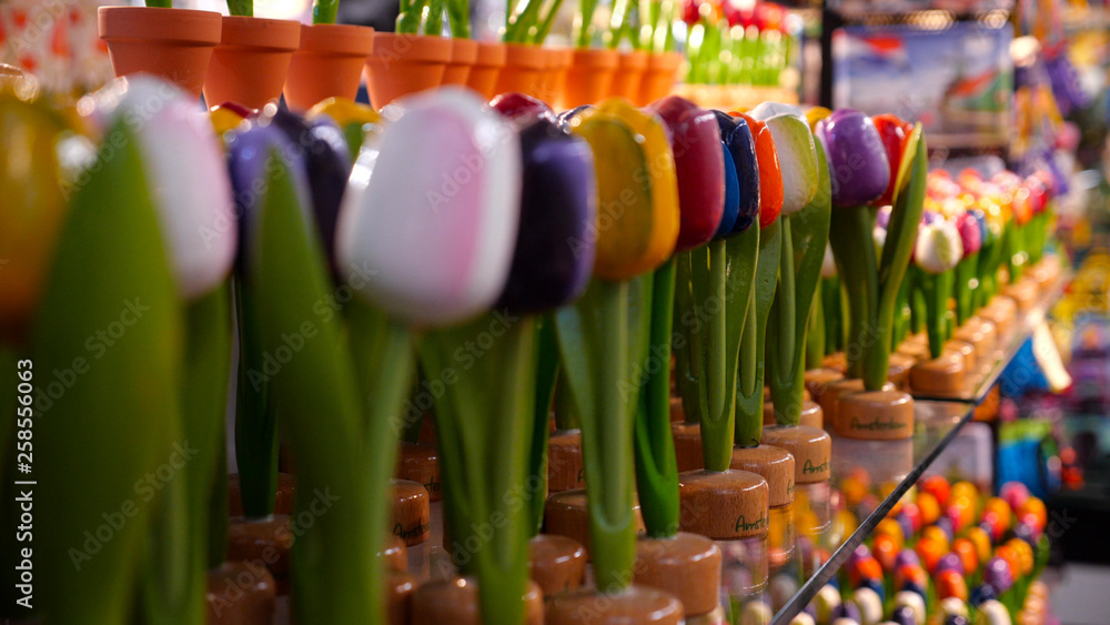 Close up footage of colorful tulips in tourist shop in Amsterdam centre in Netherlands. Typical dutch shop, small mall in city center, with nice wooden souvenirs, postcards and magnetic cards. 