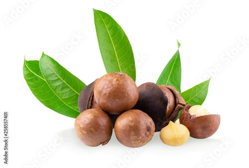 Macadamia nuts isolated on a white background