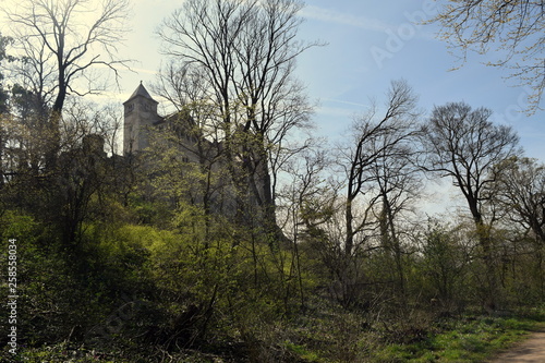 Fototapeta Naklejka Na Ścianę i Meble -  ruins of old castle on rocks 