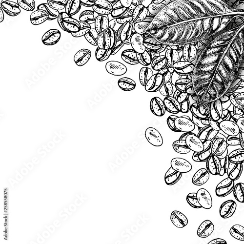 Background with coffee sketch. Vintage vector background. Vector hand drawn leaves. Layout design for packaging