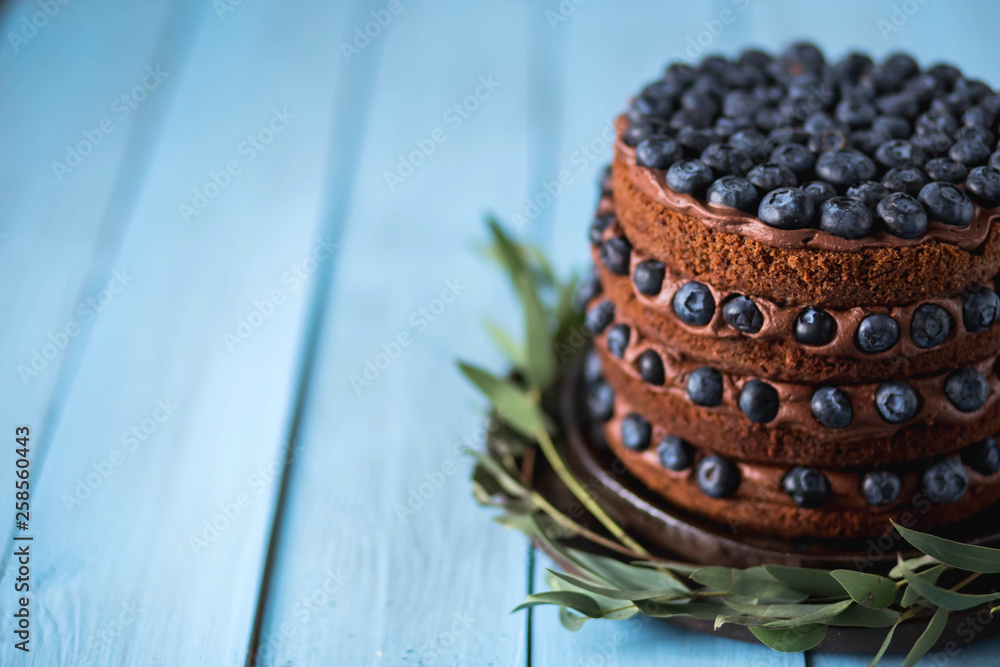 Closeup of chocolate delicious cake with blueberries